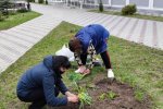 Відновлення благоустрою та озеленення територій Університету Грінченка