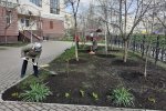Відновлення благоустрою та озеленення територій Університету Грінченка