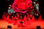 Культурно-мистецький проєкт «Музичний міст: Україна – Європа»