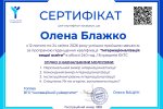 ІІІ етап – представлення мікропроєктів на VІ Зимовій школі підвищення кваліфікації  від ВГО 