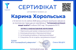 ІІІ етап – представлення мікропроєктів на VІ Зимовій школі підвищення кваліфікації  від ВГО 